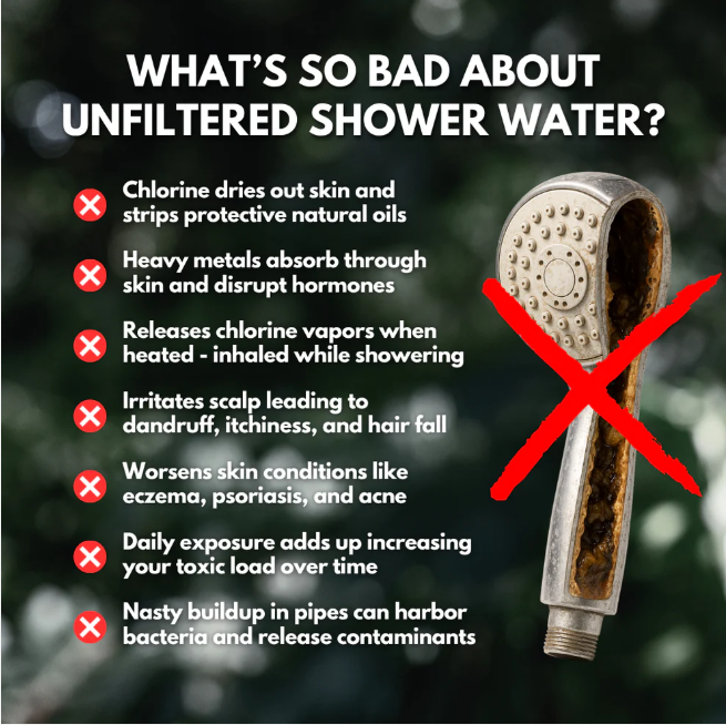 BREVO Filtered Shower Head