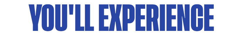 You'll Experience